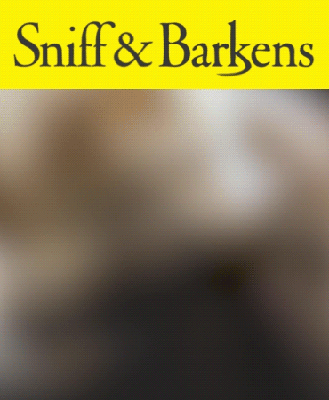 Sniff & Barkens
